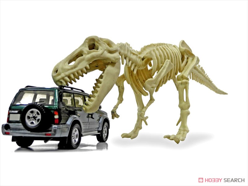 恐竜化石発掘モデル ティラノサウルス (プラモデル) その他の画像7