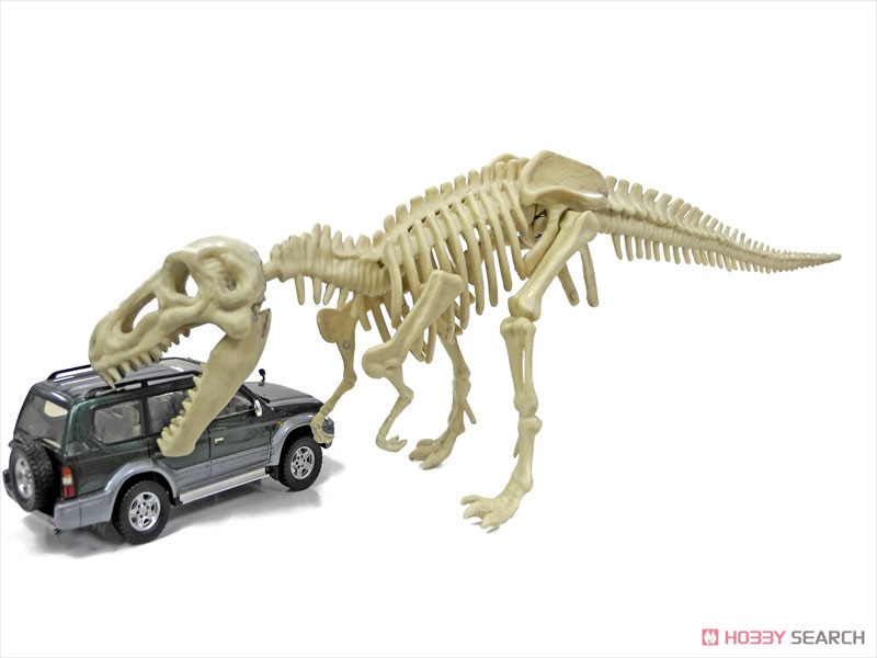 恐竜化石発掘モデル ティラノサウルス (プラモデル) その他の画像8