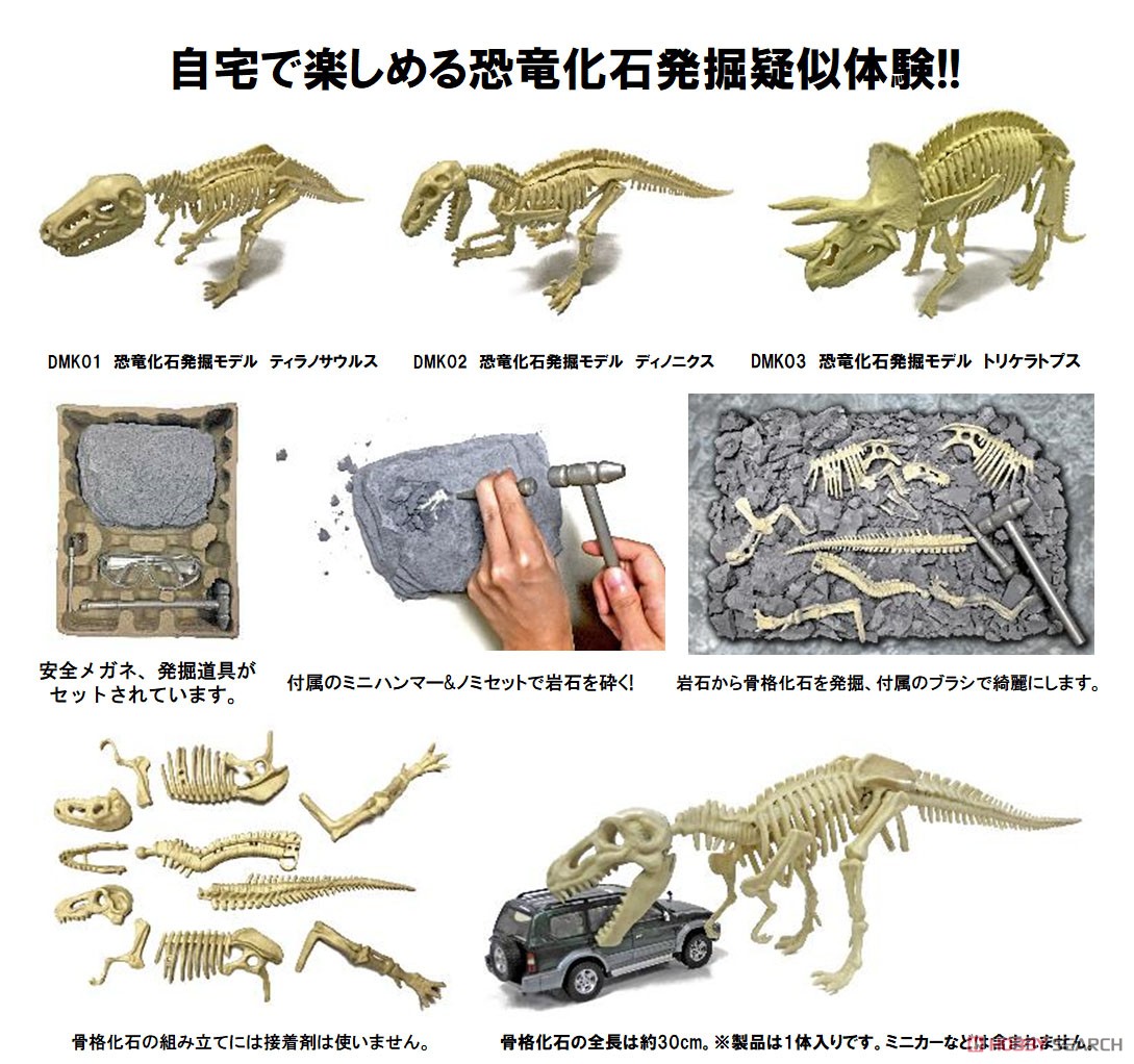 恐竜化石発掘モデル ディノニクス (プラモデル) その他の画像1