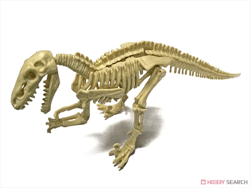 恐竜化石発掘モデル ディノニクス (プラモデル) その他の画像2