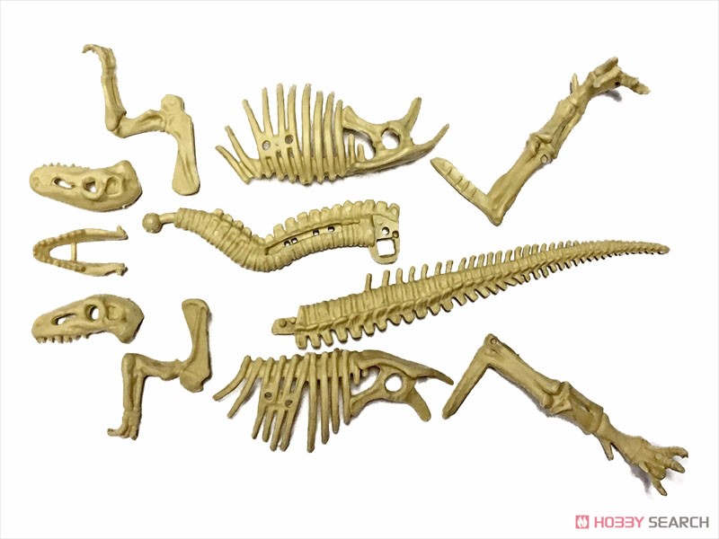 恐竜化石発掘モデル ディノニクス (プラモデル) その他の画像3