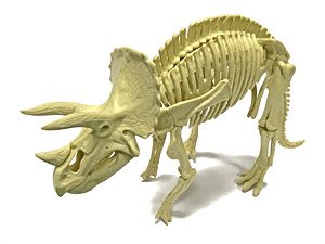 恐竜化石発掘モデル トリケラトプス (プラモデル)