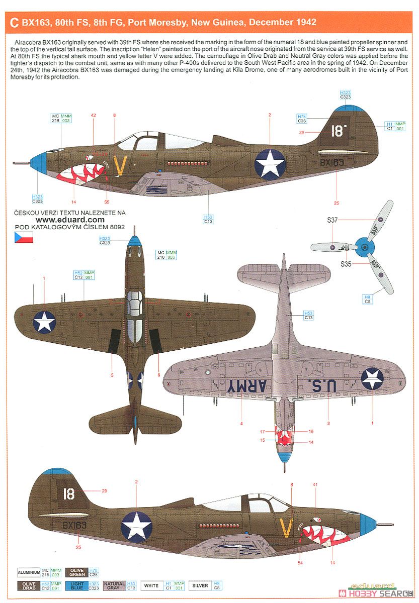 P-400 プロフィパック (プラモデル) 塗装4