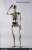 Human Skeleton Diecast (Fashion Doll) Item picture3