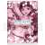 『ソードアート・オンライン』 直葉&里香&珪子の水着クリアファイル (キャラクターグッズ) 商品画像2