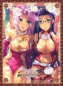 Nexton Girls Sleeve Collection Vol.091 Shin Koihime Musou [Sheren/Meirin] (Card Sleeve)