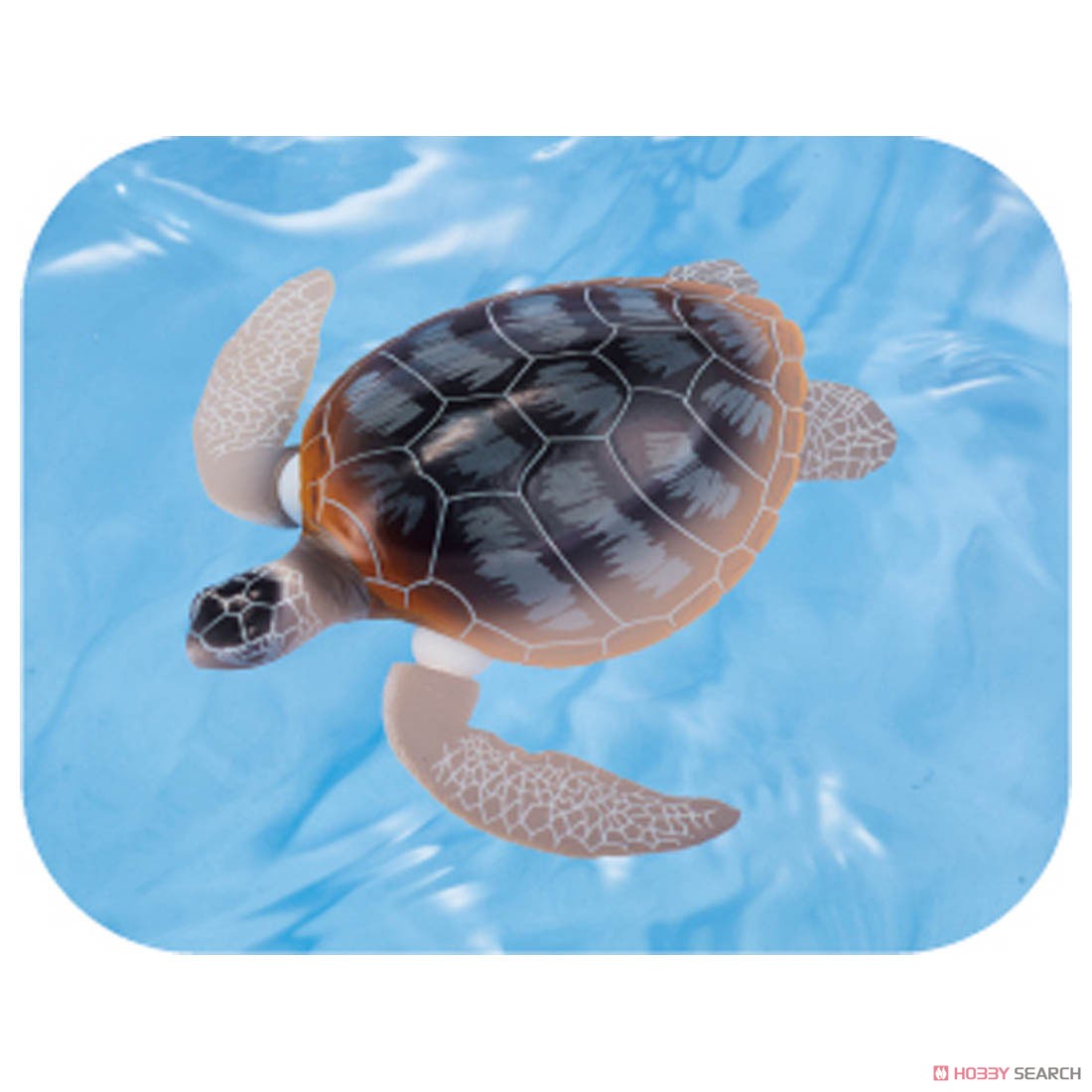 Ania AS-20 Green Turtle Parent-Child (Floatee Ver.) (Animal Figure) Other picture2