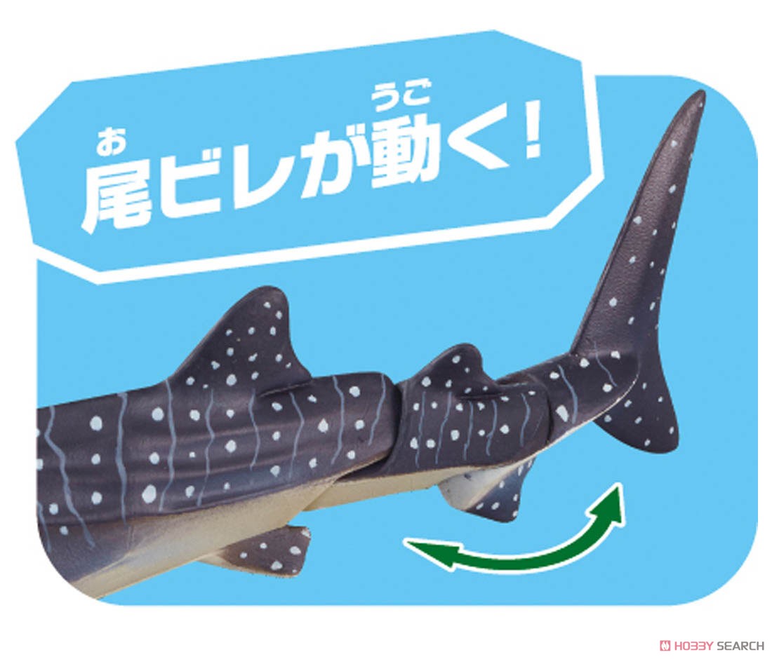 アニア AL-05 ジンベエザメ (水に浮くVer.) (動物フィギュア) その他の画像2