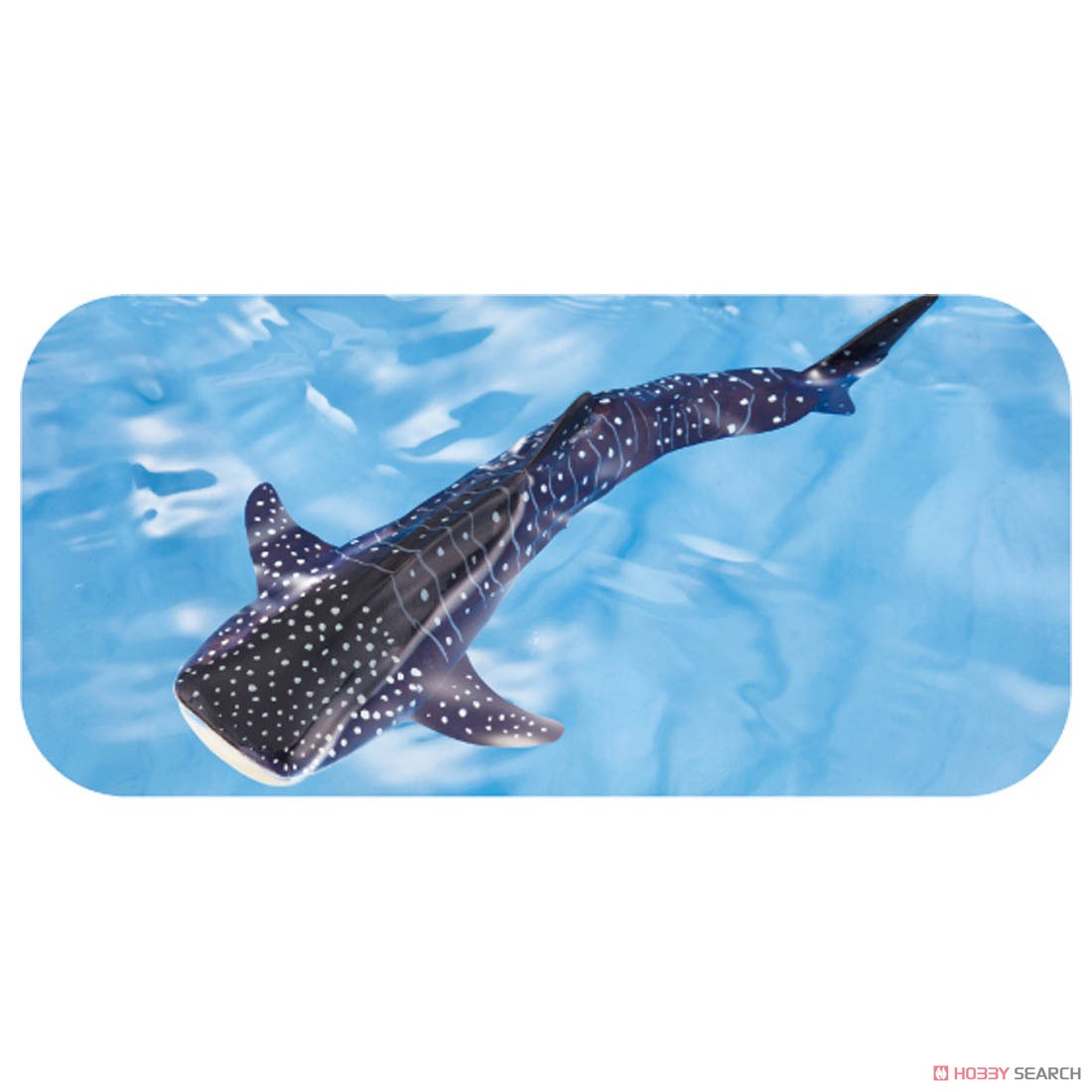 Ania AL-05 Whale shark (Floatee Ver.) (Animal Figure) Other picture3