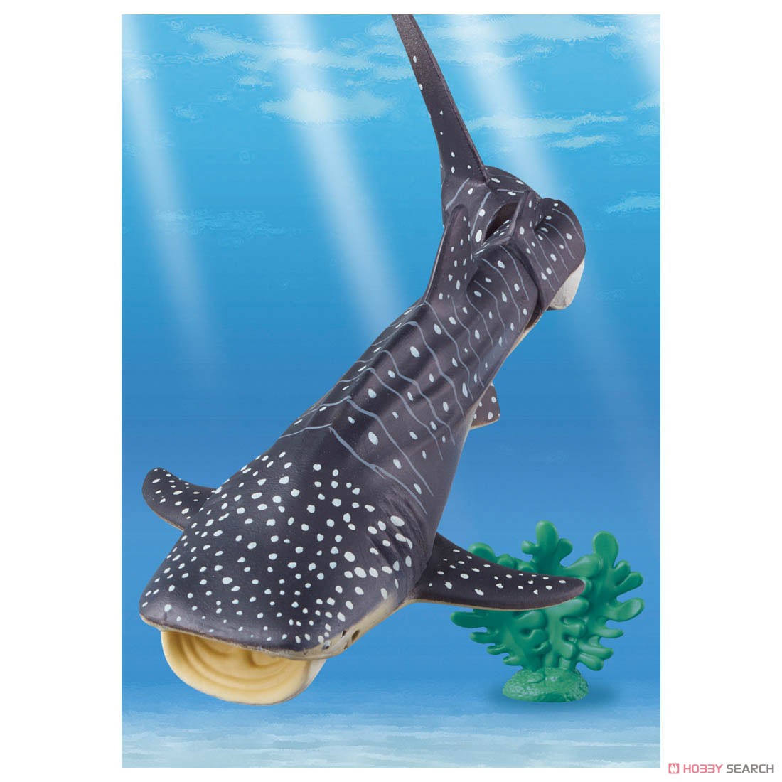 Ania AL-05 Whale shark (Floatee Ver.) (Animal Figure) Other picture4