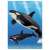 Ania AL-08 Killer Whale Parent-Child (Floatee Ver.) (Animal Figure) Other picture4