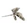 Desktop Army Alice Gear Aegis Sitara Kaneshiya (PVC Figure) 商品画像8 Thumbnail