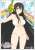 Character Sleeve Senran Kagura Peach Beach Splash Kagura (EN-833) (Card Sleeve) Item picture1