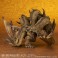 Defo-Real King Ghidorah (2019) (Completed) 商品画像5 Thumbnail