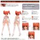 Cross Frame Girl Brave Girl (Plastic model) 塗装1 Modal Thumbnail