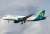 Aer Lingus Airbus A320 - new 2019 colors - `St. Moling / Moling` (Pre-built Aircraft) Other picture1