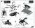 Biology Edition Beetle vs Stag Beetle Showdown Set Special Version (Gold Type) (Plastic model) Assembly guide2
