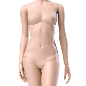 Super Flexible Female Base Model Seamless Joint Suntan Small Bust (Fashion Doll)