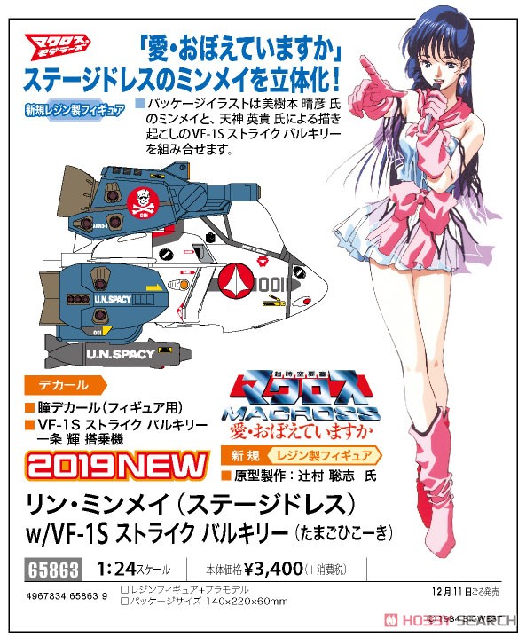 Lynn Minmay (Stage Dress) w/VF-1S Strike Valkyrie (Egg Plane) (Plastic model) Other picture2