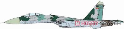 SU-27 `Ertra Air Force` 2010 (Pre-built Aircraft) Other picture1