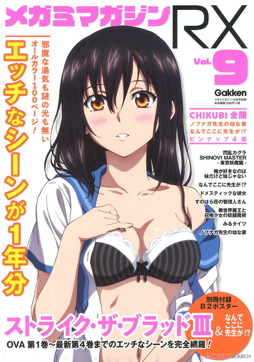Megami Magazine(メガミマガジン) RX Vol.9 (雑誌) 商品画像1