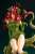 DC Comics Bishoujo Poison Ivy Returns (Completed) Item picture7