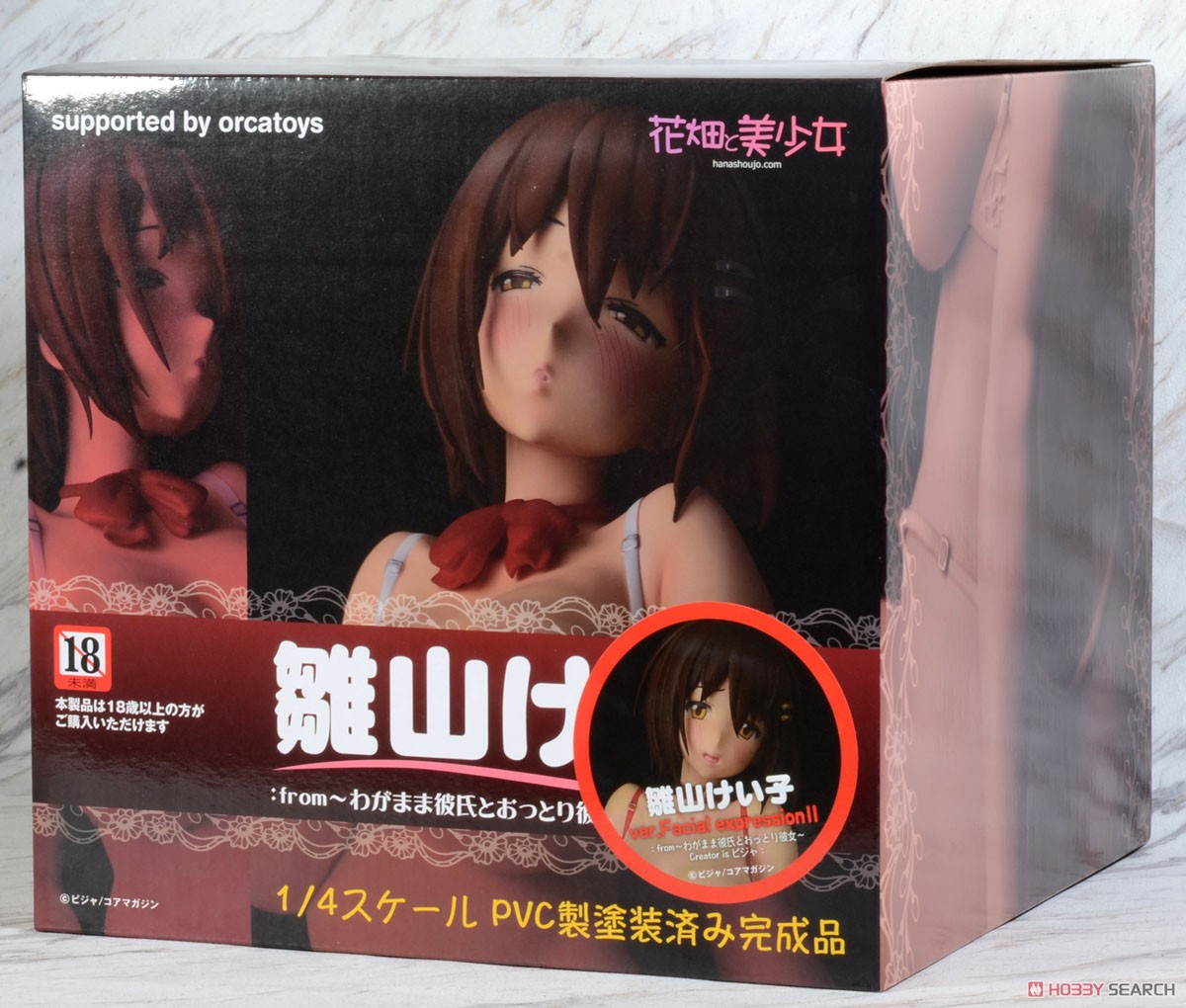 Keiko Hinayama Ver. Facial Expression II: From -Wagamama Kareshi to Ottori Kanojo- Creator is Pija (PVC Figure) Package1