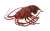 Latex lobster (Animal Figure) Item picture1