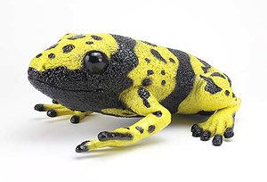 Latex Yellow-banded poison dart frog (Animal Figure)