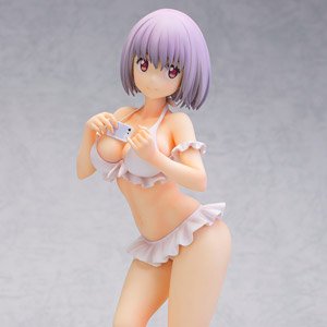 Akane Shinjo (PVC Figure)