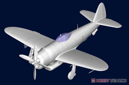 P-47D Thunderbolt (Plastic model) Other picture1