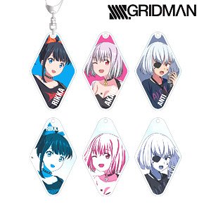 SSSS.GRIDMAN 描き下ろしイラスト トレーディングアクリルキーホルダー (6個セット) (キャラクターグッズ)