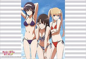 Bushiroad Rubber Mat Collection Vol.446 Saekano: How to Raise a Boring Girlfriend Flat [Megumi & Eriri & Utaha] Swimwear Ver. (Card Supplies)