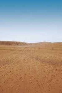 ジオラマシートPRO-M 砂漠A1 DSPM-DESERT-001a (ドール)