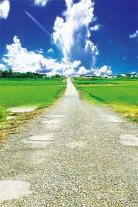 ジオラマシートPRO-M 田園A1 DSPM-SCENIC-001a (ドール)