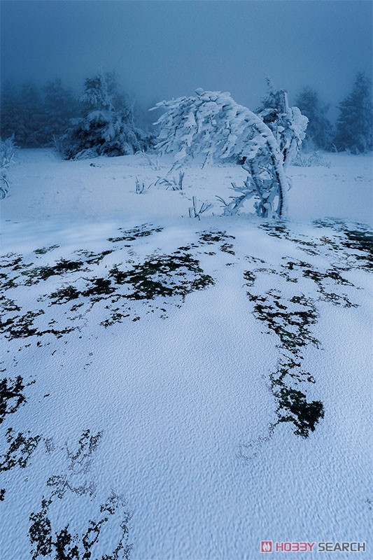 ジオラマシートPRO-S 雪原A1 DSPS-SNOW-001a (ドール) 商品画像1