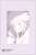 Fate/Grand Order -絶対魔獣戦線バビロニア- 下敷き マーリン (キャラクターグッズ) 商品画像2