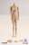 Female Base Model Seamless Steel Skeleton Joint Tan Small Bust (Fashion Doll) Other picture6