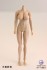 Female Base Model Seamless Steel Skeleton Joint Tan Huge Breasts (Fashion Doll) 商品画像1 Thumbnail