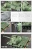 Peoples Liberation Army of China T-59 Main Battle Tank (Plastic model) その他の画像1 Thumbnail