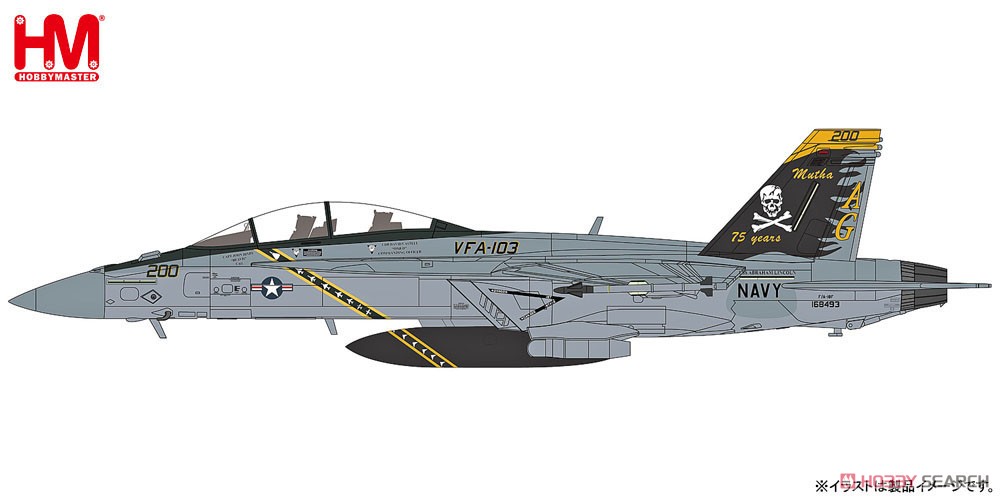 F/A-18F スーパーホーネット `VFA-103 ジョリーロジャース` (完成品飛行機) その他の画像1