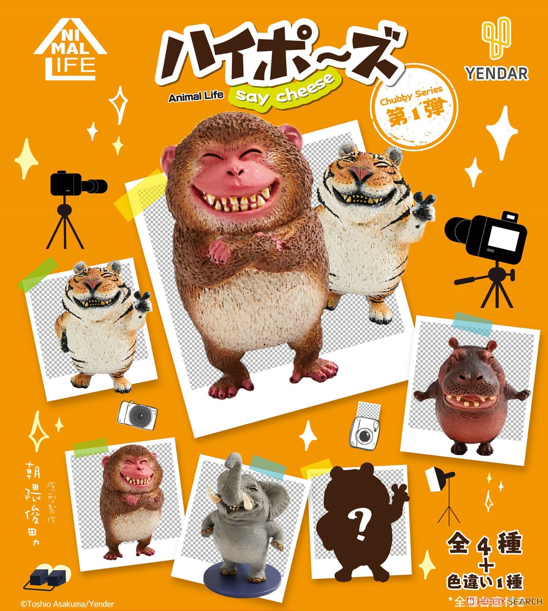 ANIMAL LIFE Chubby Series ハイポ～ズ (6個セット) (キャラクターグッズ) 商品画像9