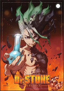 Dr.Stone Leather Pass Case A (Anime Toy)
