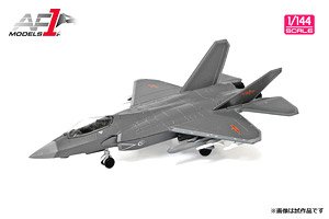 シェンヤン ステルス技術実証機 J-31 (完成品飛行機)