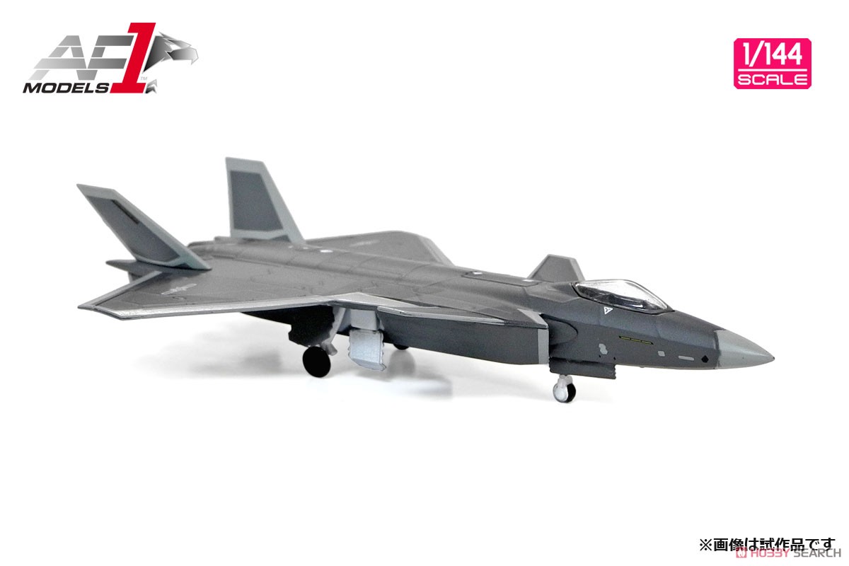 中国人民解放軍空軍 ステルス戦闘機 J-20 (完成品飛行機) 商品画像5