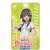 To Aru Kagaku no Railgun T ABS Pass Case Ruiko Saten (Anime Toy) Item picture1