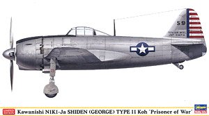 Kawanishi N1K1-Ja Shiden Type11-Kou `War Prizes` (Philippines June 1945) (Plastic model)