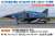 RF-4E Phantom II `501SQ Final Year 2020` (Sea Camouflage) (Plastic model) Other picture1