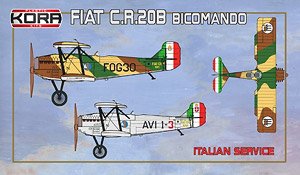 Fiat CR.20B Bicomando Italian Service (Plastic model)
