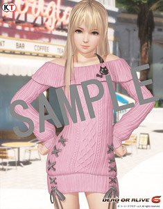 DEAD OR ALIVE 6 B2タペストリー マリーローズ私服Ver. (キャラクターグッズ)